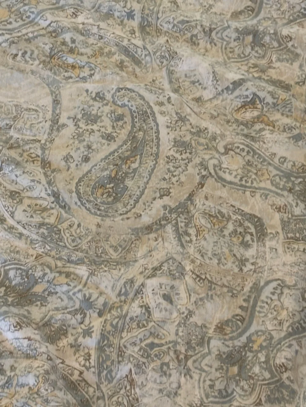 Pottery Barn Twin Paisley Duvet Cover + Serta Twin Comforter Insert